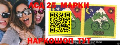 шишки Новодвинск