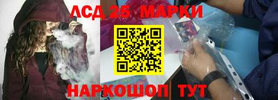 шишки Новодвинск