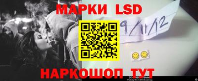 шишки Новодвинск