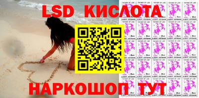 шишки Новодвинск