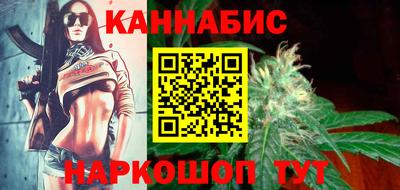 шишки Новодвинск
