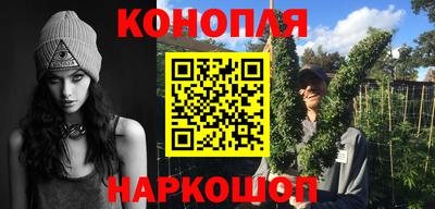 шишки Новодвинск