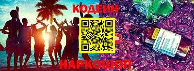 шишки Новодвинск