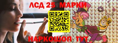 шишки Новодвинск