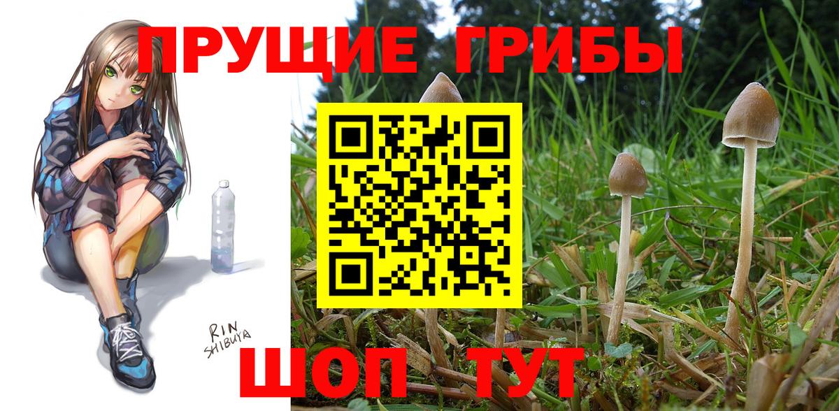 Галлюциногенные грибы мухоморы Тамбов