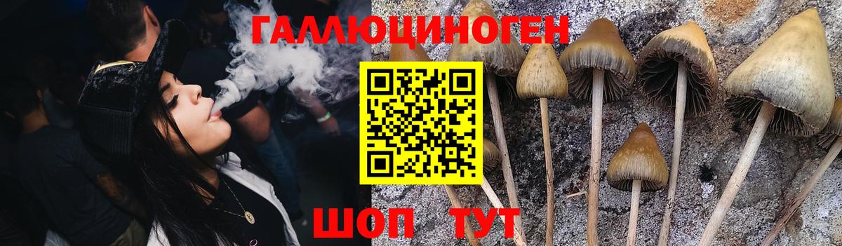 Псилоцибиновые грибы прущие грибы  Псилоцибиновые грибы Psilocybine cubensis  Вход с VPN  Тамбов 